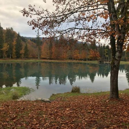 Chalet Alliance Entre Calme Et Plaisir Morillon Exterior foto
