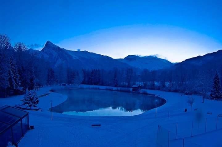 Chalet Alliance Entre Calme Et Plaisir Morillon Exterior foto