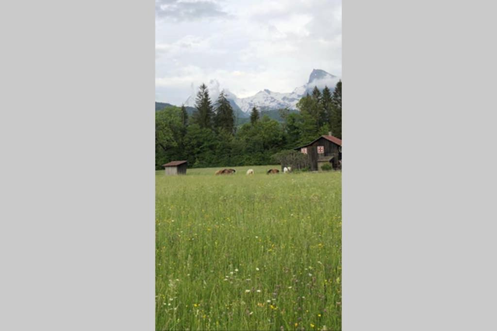 Chalet Alliance Entre Calme Et Plaisir Morillon Exterior foto